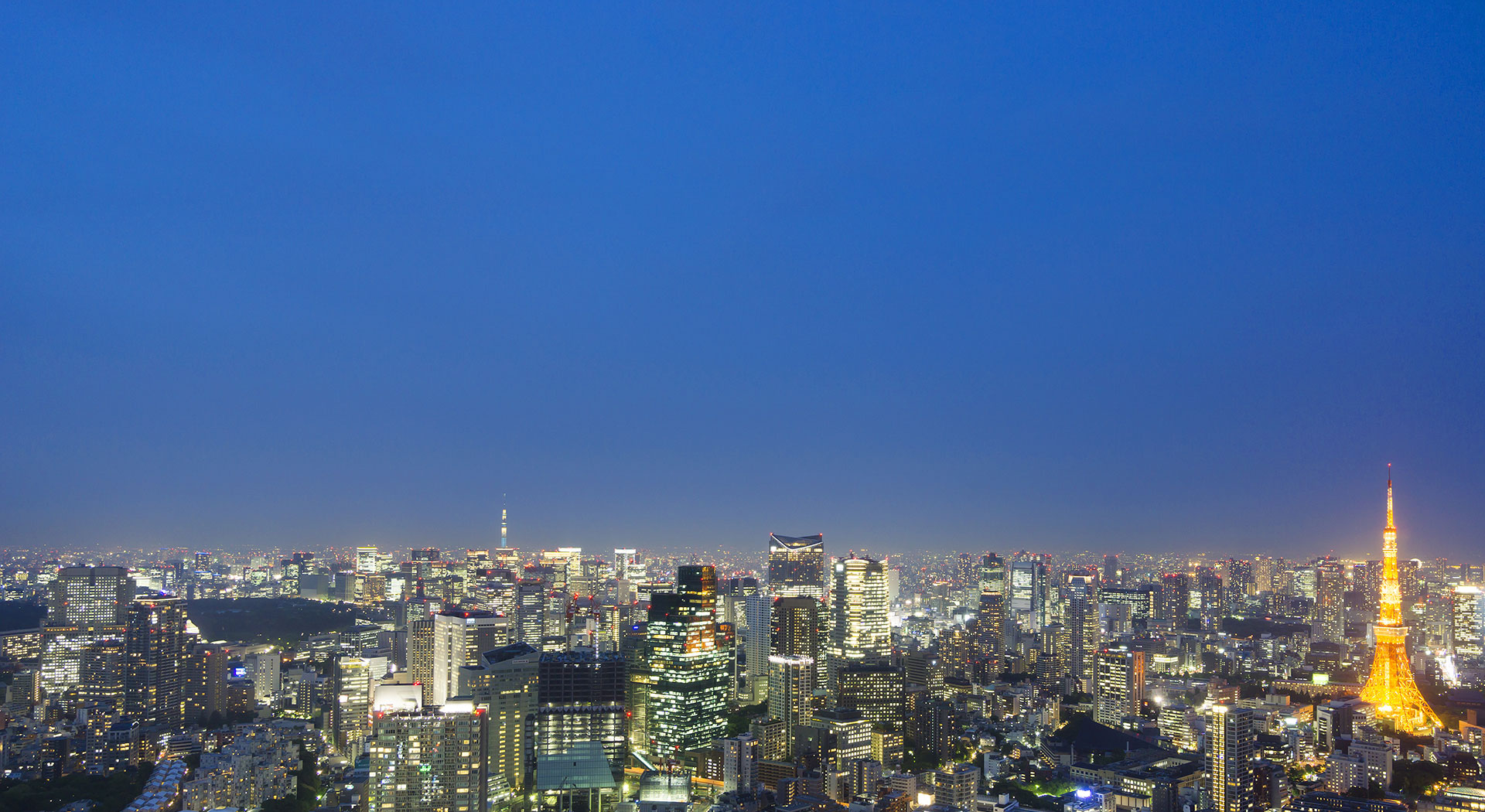 安全で豊かな未来は、私たちがつくります。