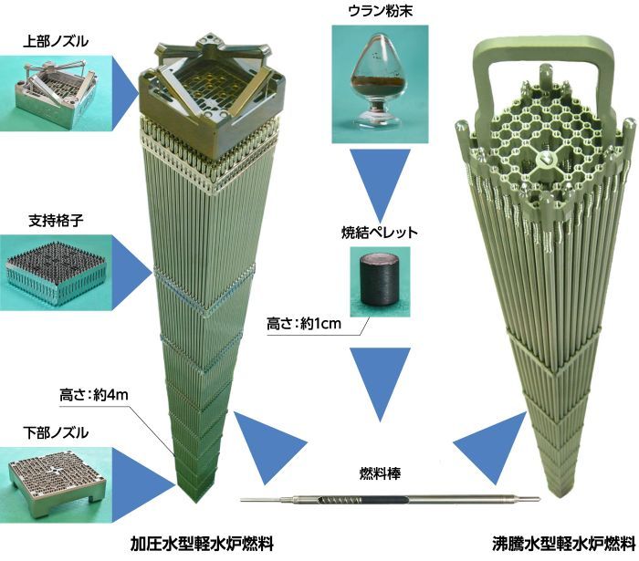 当社が取り扱う軽水炉燃料