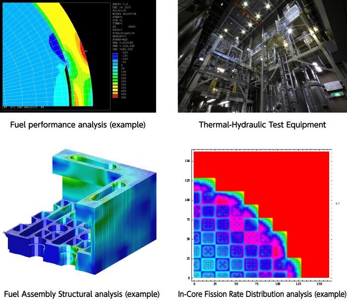 Fuel Design and Development